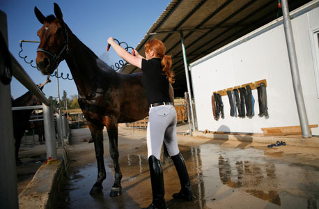 אילוסטרציה אילוסטרציה
