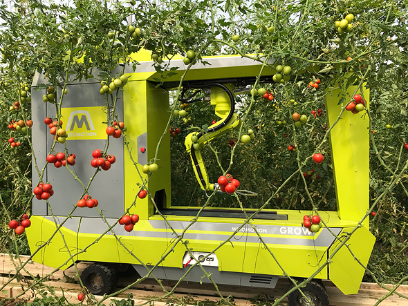 Tomato Picking Robot Developer Metomotion Raises Million Ctech