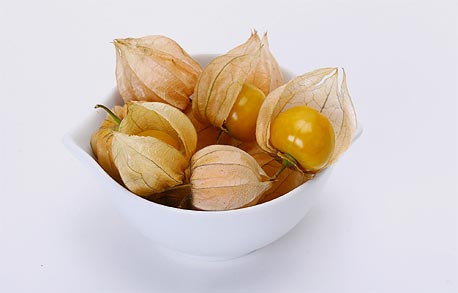 דובדבן היהודים דובדבן היהודים