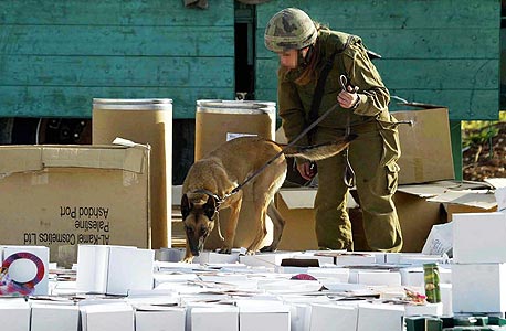 חיילת בודקת סחורה על משאית פלסטינית במחסום ליד שכם חיילת בודקת סחורה על משאית פלסטינית במחסום ליד שכם