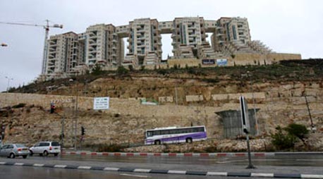 פרויקט הולילנד בירושלים, צילום: שלומי כהן, ידיעות ירושלים