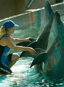 דרבן: Shaka Marine World דרבן: Shaka Marine World