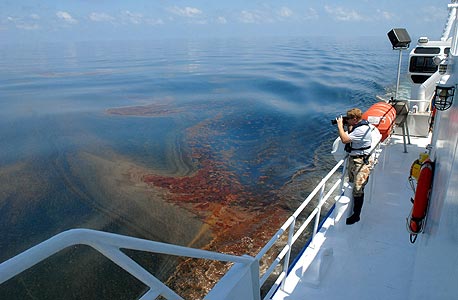 דליפת הנפט במפרץ מכסיקו. פיצוי תוך 48 שעות