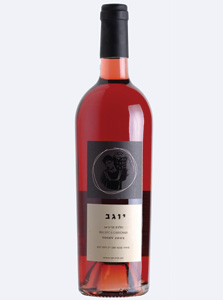 בנימינה, יוגב רוזה, בציר 2009 בנימינה, יוגב רוזה, בציר 2009