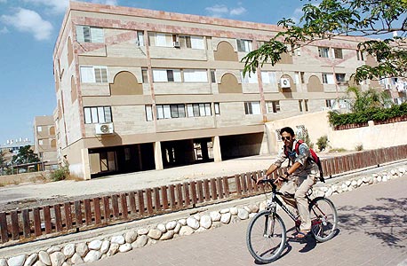 דימונה (ארכיון) דימונה (ארכיון)