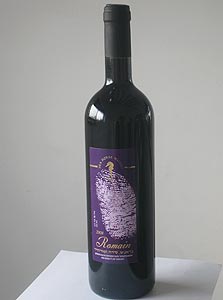 סוסון ים, רומאן 2008. טעם עשיר סוסון ים, רומאן 2008. טעם עשיר