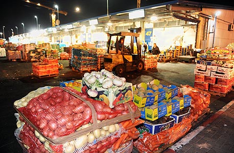 הממשלה החליטה: שוק סיטונאי חדש יוקם בצומת מסובים