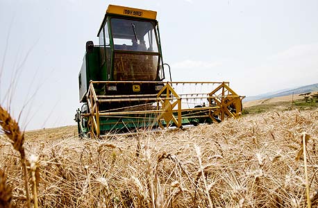 מחירי הפסטה, האורז, הקקאו והסוכר צפויים לעלות אחרי החגים