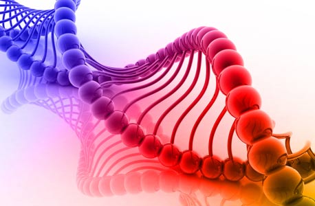 מטקסט, ל-DNA, לתפוח מטקסט, ל-DNA, לתפוח
