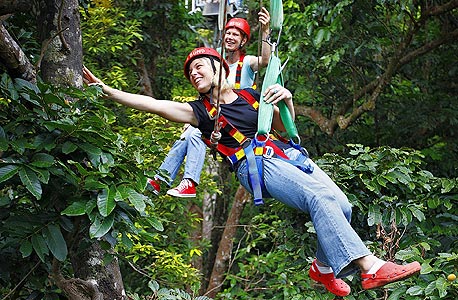Cape Tribulation, אוסטרליה. מחיר: מ- 90 דולר אוסטרלי. (כ-320 שקל) Cape Tribulation, אוסטרליה. מחיר: מ- 90 דולר אוסטרלי. (כ-320 שקל)