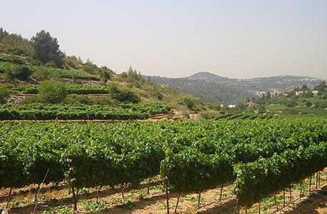 אילוסטרציה אילוסטרציה