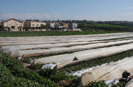 תל מונד: זוג תובע את המועצה על מכירת מגרש שלא היה בבעלותה המלאה