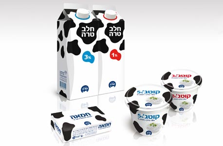 טרה. עיצוב ישיר מאוד טרה. עיצוב ישיר מאוד