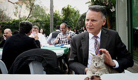 מסרי והחתולה היוונייה. "לקחנו אותה מהמקלט כי חשבנו שאף אחד לא ירצה לקחת חתולה עם עין אחת" מסרי והחתולה היוונייה. "לקחנו אותה מהמקלט כי חשבנו שאף אחד לא ירצה לקחת חתולה עם עין אחת"
