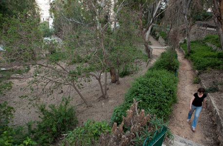 גן הקופים. רצו להקים פה חניון גן הקופים. רצו להקים פה חניון