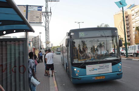 אוטובוס של חברת קווים, צילום: ענר גרין
