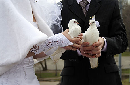 יש יתרונות כלכליים לחתונה מאוחרת, צילום: shutterstock