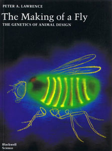 The Making of a Fly. תוכנה אוטומוטית תמחרה את הספר ב-23 מיליון דולר The Making of a Fly. תוכנה אוטומוטית תמחרה את הספר ב-23 מיליון דולר