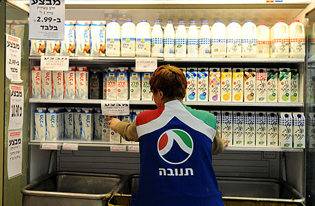סידור מוצרי חלב סידור מוצרי חלב