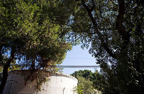העצים ניצחו: לא יוקם בי"ח סיעודי בכפר סבא ליד כפר מל"ל