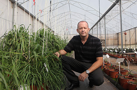 אסף קסן מאבוג'ן בחממה בקיבוץ נען אסף קסן מאבוג'ן בחממה בקיבוץ נען