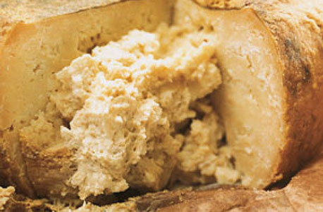 Casu Marzu Casu Marzu