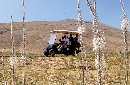 70 מיליון שקל יועברו לפיתוח פארקים ושטחים פתוחים