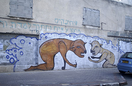 לאלף את הגרפיטי
