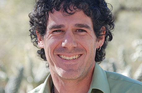 זרועות הביטחון