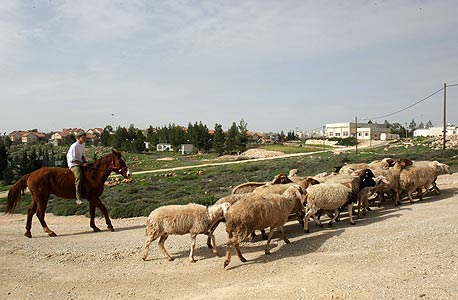התנחלות בית חגי בדרום הר חברון: 10,620 שקל לתושב