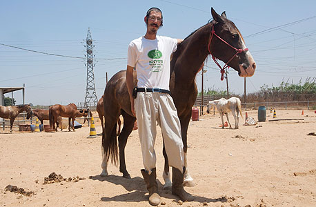 גולדיס גולדיס