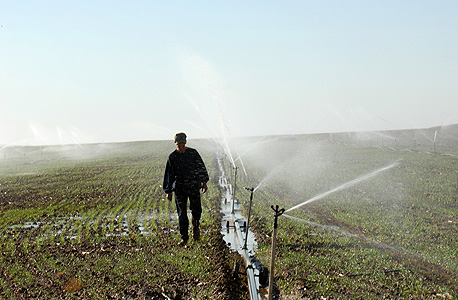 מערכות השקייה סטנדרטיות מערכות השקייה סטנדרטיות