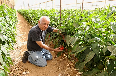 אמנון עוזיהו, עין הבשור אמנון עוזיהו, עין הבשור
