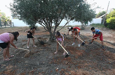 גינה קהילתית ביפו. יוצרות שינוי ברמת המעורבות החברתית של התושבים גינה קהילתית ביפו. יוצרות שינוי ברמת המעורבות החברתית של התושבים