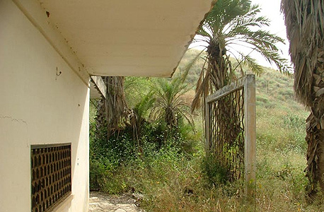 בית תמרה שעומד בשממונו בית תמרה שעומד בשממונו