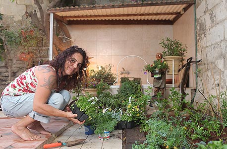 אורית פרי, מתכננת גינות ירק אורית פרי, מתכננת גינות ירק