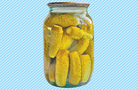 הדבר האמיתי. לפי כץ, חמוצים תעשייתיים אינם באמת מותססים בחיידקים אלא רק מושרים בחומץ חם שמקנה להם את הטעם החמוץ הדבר האמיתי. לפי כץ, חמוצים תעשייתיים אינם באמת מותססים בחיידקים אלא רק מושרים בחומץ חם שמקנה להם את הטעם החמוץ