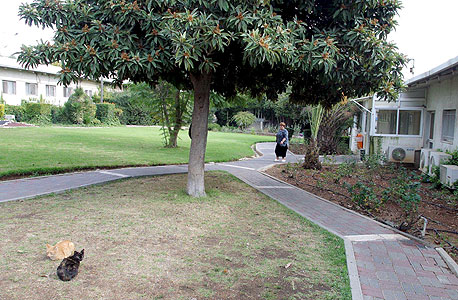 נצבא תבנה את המלון במתחם לשעבר של משרד החוץ בירושלים