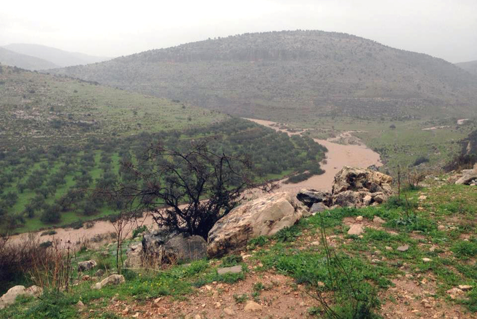 צילום: באדיבות מועצה מקומית בית אריה צילום: באדיבות מועצה מקומית בית אריה