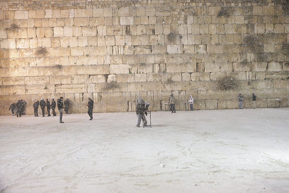 צילום: אלכס קולומויסקי צילום: אלכס קולומויסקי