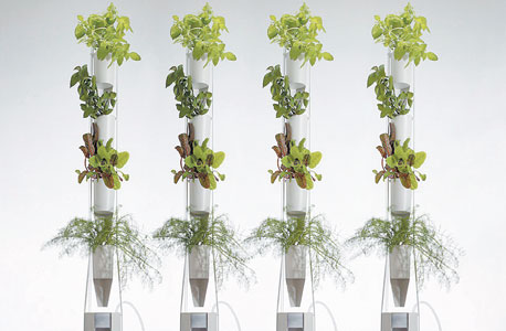 מגדלי גידול של windowfarms. "החברים בקהילת חקלאי החלון כבר מגדלים עגבניות, תותים, ירקות. חלקם מגדלים סלט ליום" מגדלי גידול של windowfarms. "החברים בקהילת חקלאי החלון כבר מגדלים עגבניות, תותים, ירקות. חלקם מגדלים סלט ליום"