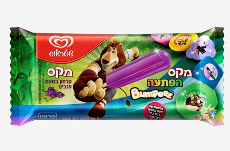 שטראוס מתכוננת לקיץ: תתמקד במכירות שלגוני מקס האריה