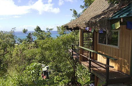 Temple Treehouse, הוואי. 180 דולר ללילה Temple Treehouse, הוואי. 180 דולר ללילה