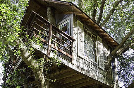 Treehouse Above San Francisco Bay, קליפורניה. 195 דולר ללילה Treehouse Above San Francisco Bay, קליפורניה. 195 דולר ללילה