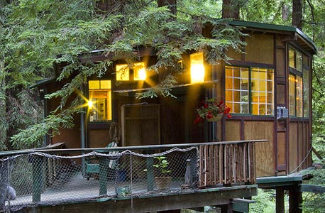 redwood tree house, קליפורניה. 125 דולר ללילה redwood tree house, קליפורניה. 125 דולר ללילה