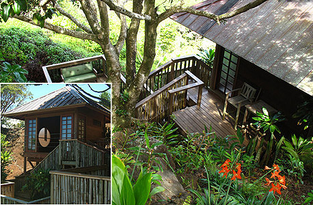 Maui tree house, מאווי הוואי. 180 דולר ללילה Maui tree house, מאווי הוואי. 180 דולר ללילה