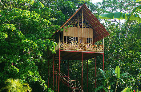 rainforest tree house, קוסטה ריקה. 85 דולר ללילה rainforest tree house, קוסטה ריקה. 85 דולר ללילה
