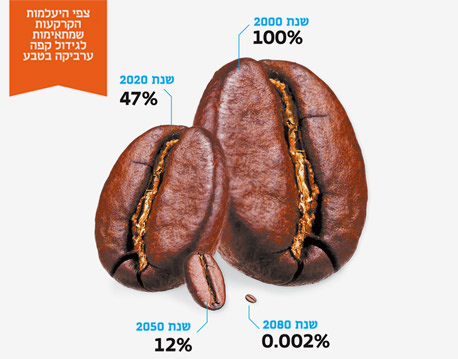צפי היעלמות הקרקעות שמתאימות לגידול קפה ערביקה בטבע. לפי הממצאים שהוצגו במחקרו של אהרון דיוויס: Davis, Gole and Baena, PLoS ONE, 2012 צפי היעלמות הקרקעות שמתאימות לגידול קפה ערביקה בטבע. לפי הממצאים שהוצגו במחקרו של אהרון דיוויס: Davis, Gole and Baena, PLoS ONE, 2012