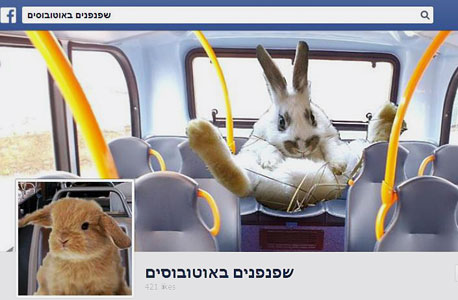 בשר חשוף