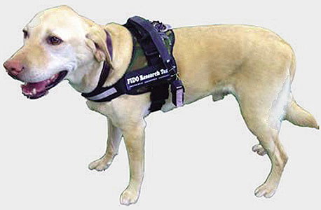 מערכת חיישני FIDO מערכת חיישני FIDO